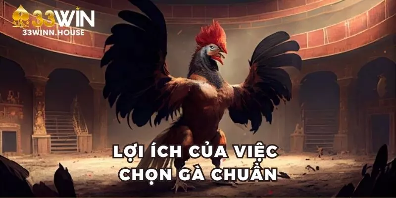 Một số bí kíp chọn gà hay từ cao thủ 33win