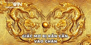 Giấc Mơ Bị Rắn Cắn Vào Chân Nên Đánh Con Số May mắn Nào?